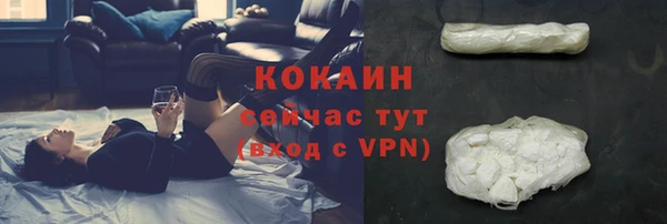 трава Богородицк