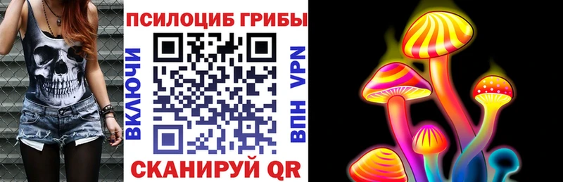 хочу наркоту Гороховец Галлюциногенные грибы MAGIC MUSHROOMS